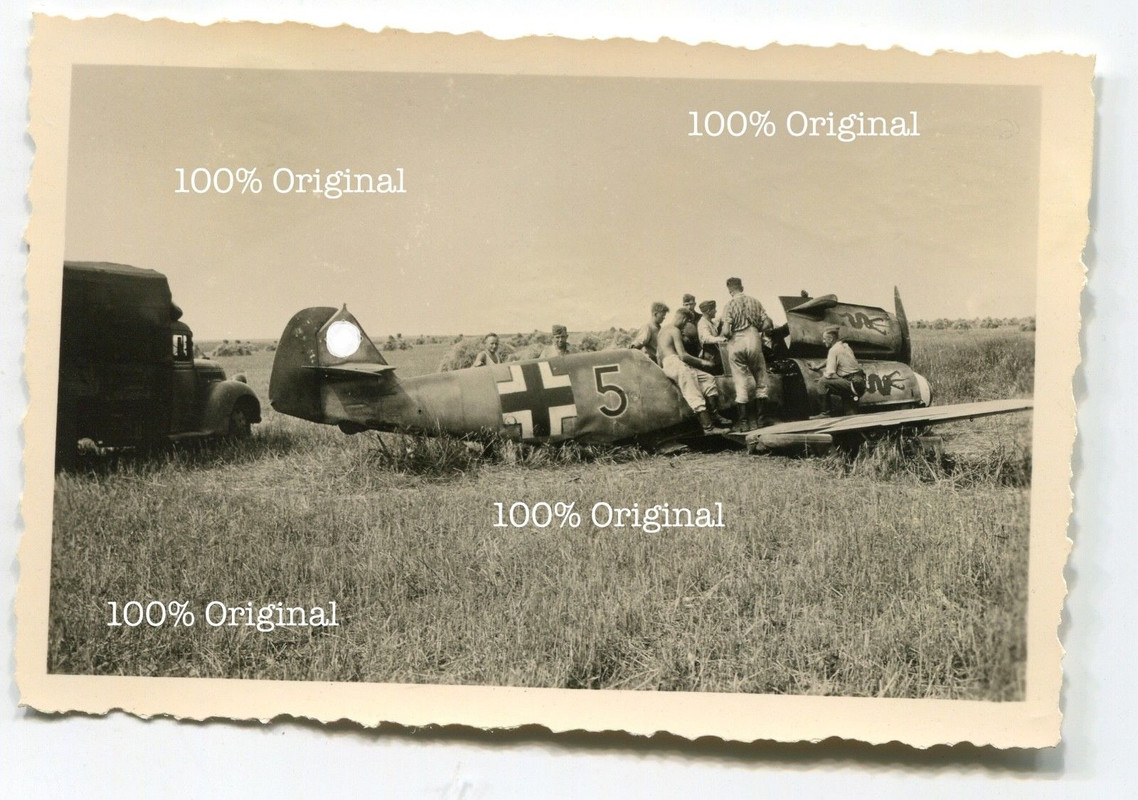 Original Foto abgestürztes Flugzeug Me109 Bf109 Staffelwappen Ma