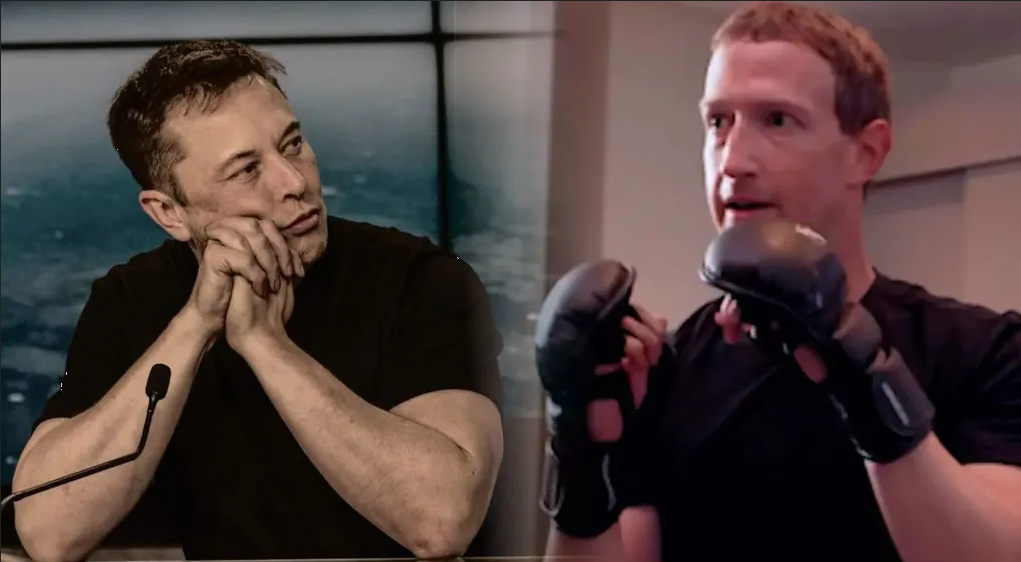 Mark Zuckerberg acepta el reto y peleará contra Elon Musk al estilo UFC