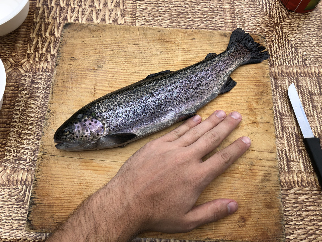 04D33FA5-5E6C-4320-93FF-77EB89540F35