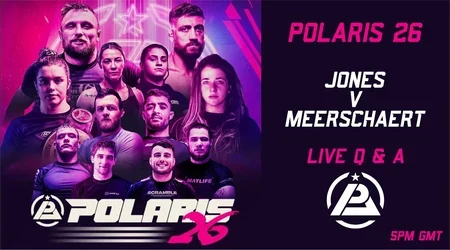  Polaris 