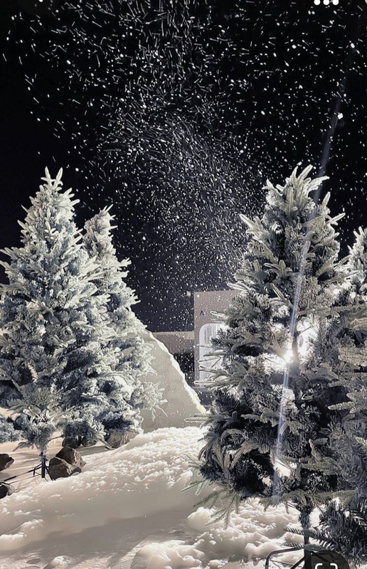 Screenshot_20231016_203913_Pinterest