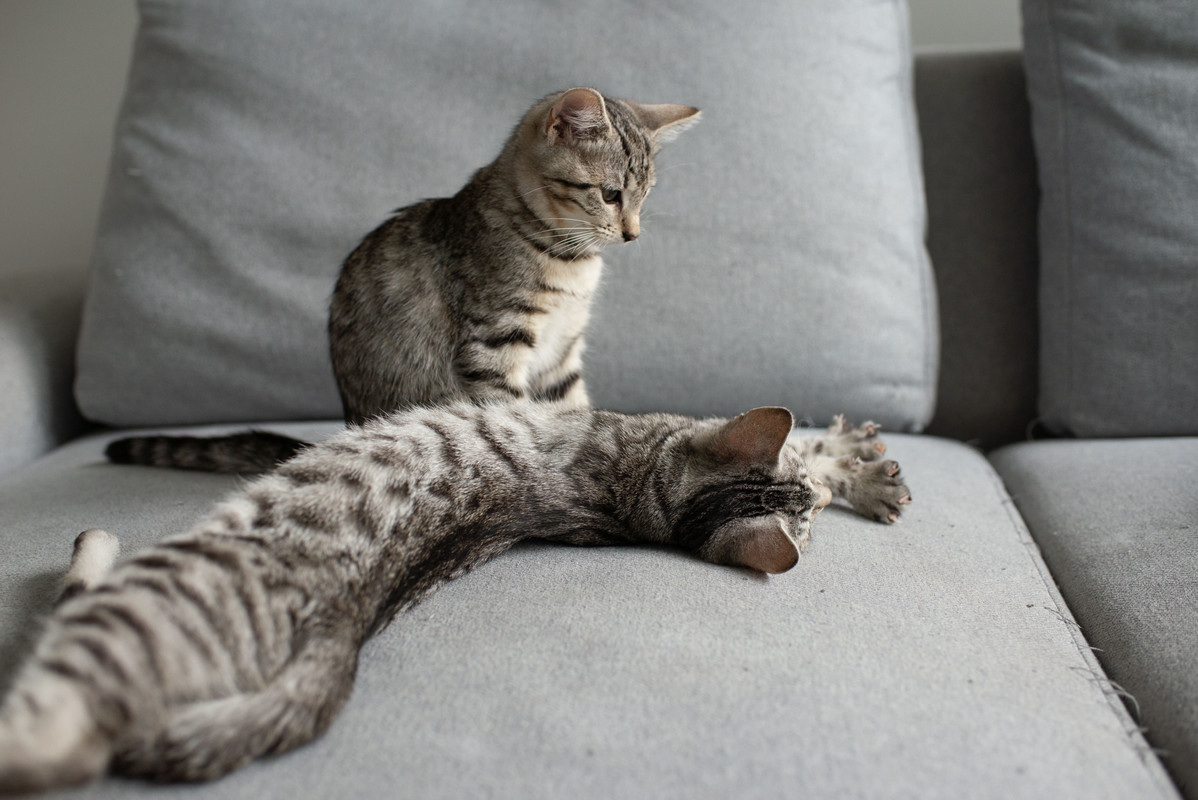 304B7FDE-C3A4-46AC-8A14-B19CD60EF3D6