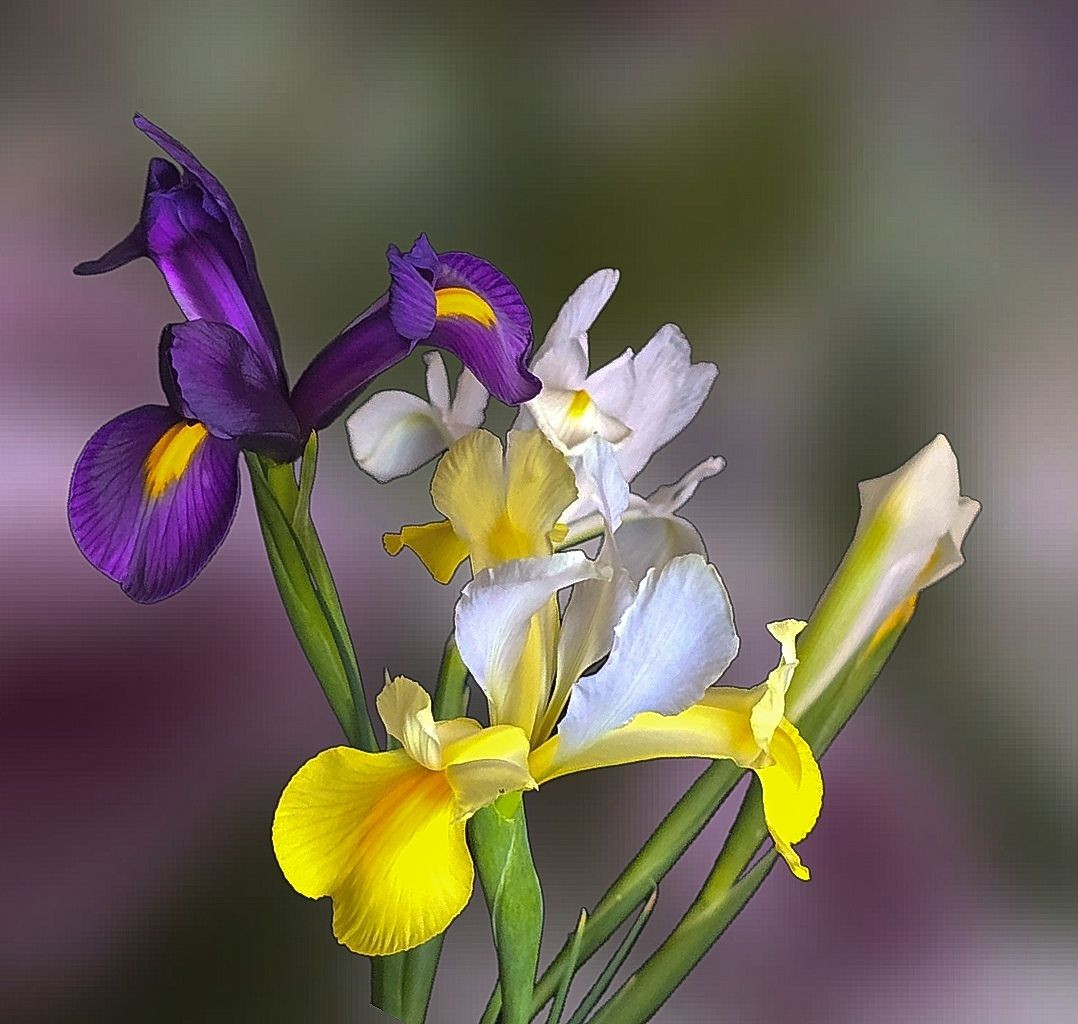 655361203-2165691210908358-6343568409742257314-n