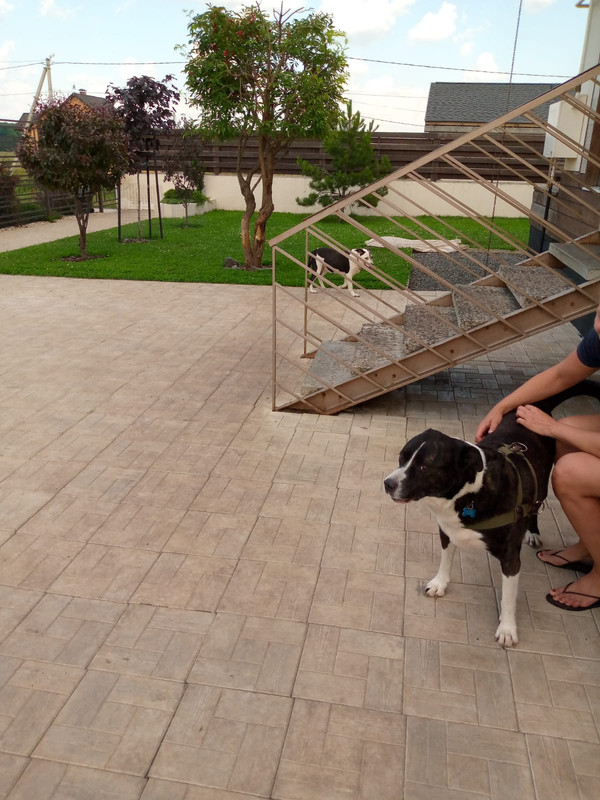 10FBF6CF-2619-424F-A8C2-9F17774E287D