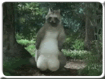 1683580798599376.gif