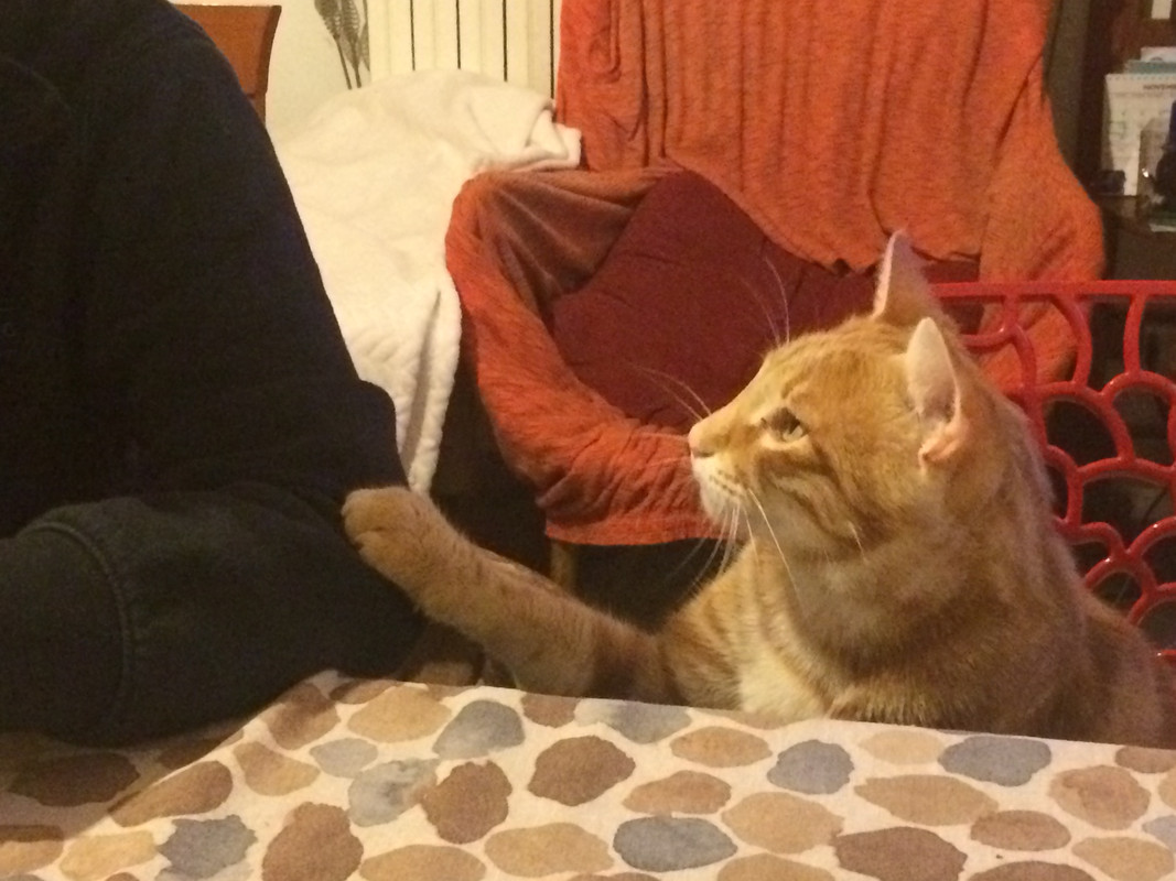 D4C8DC30-B0A7-4208-A0C7-A60A90328605