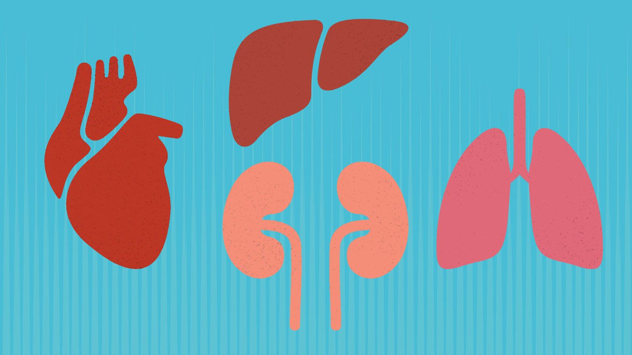 Sports to avoid while having a single kidney Sopriza