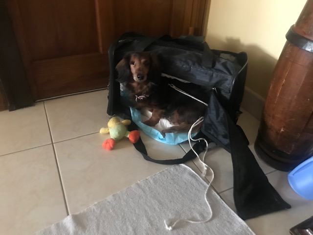 [Image: IMG-2872.jpg]