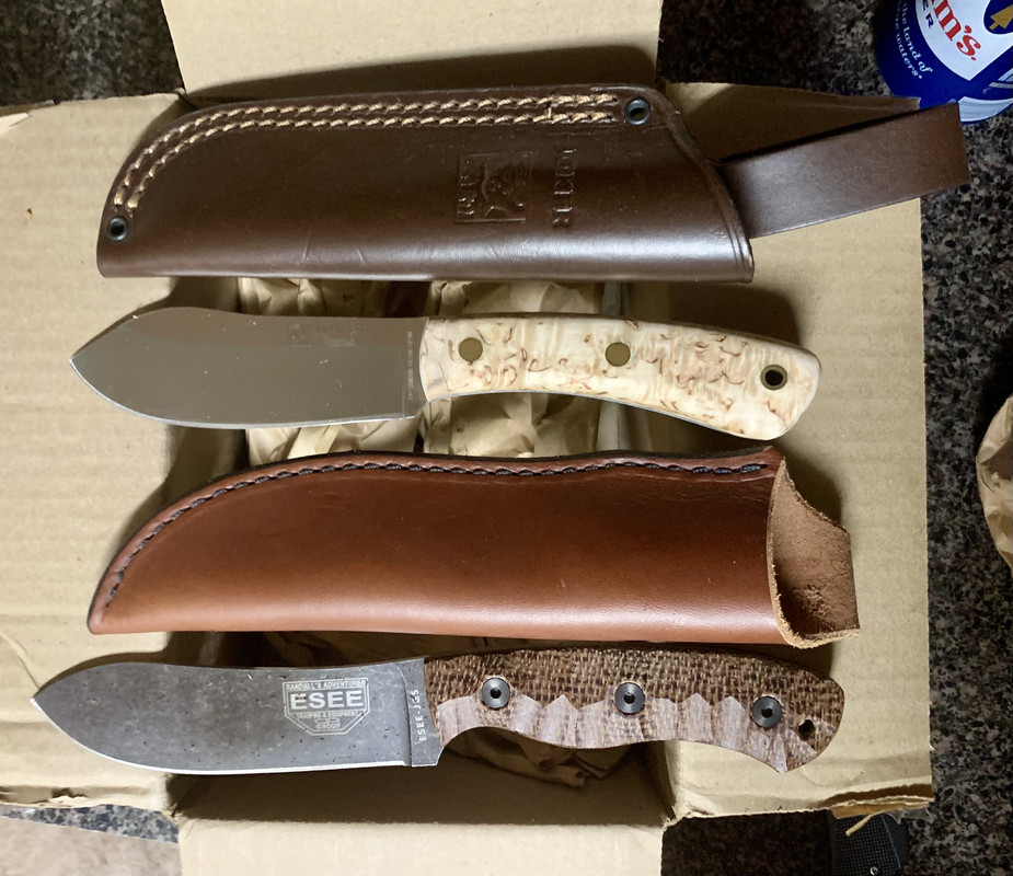 4C85C5A1-3B1C-497A-8319-2A948024A0A3