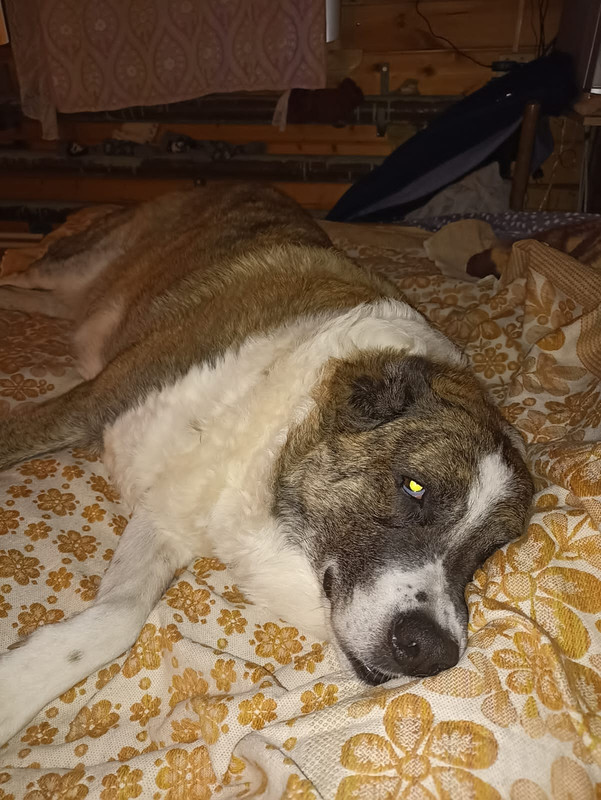 C5DF55B1-7C9C-4AA1-905F-725971EE5D0D