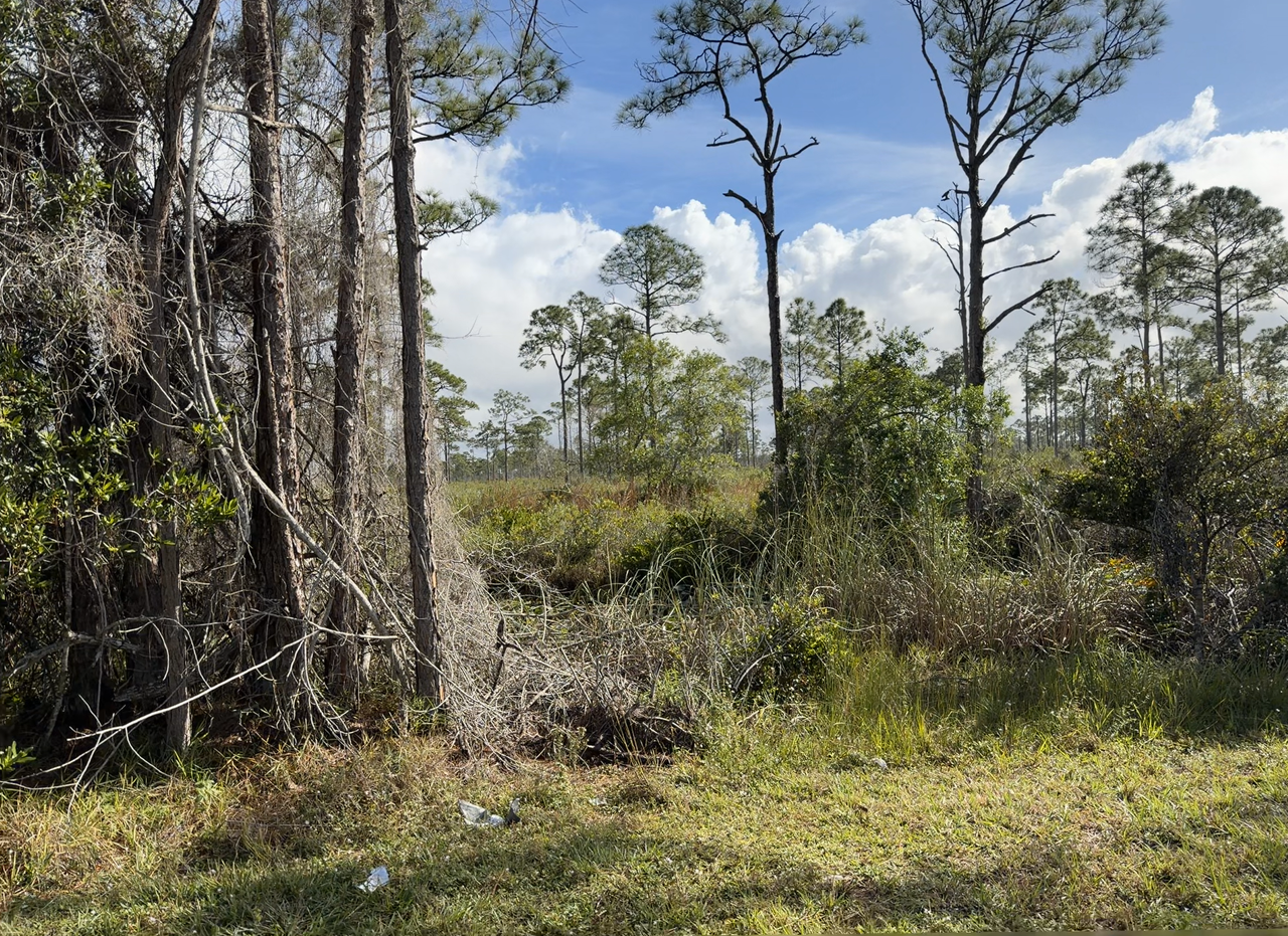 [Image: Jupiter2-Jone6.png]