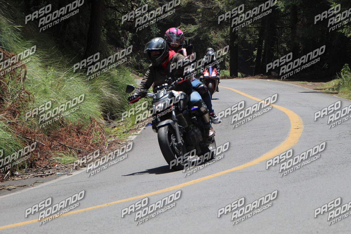 IMG 1582 wm 879500 3 watermarked — Postimages
