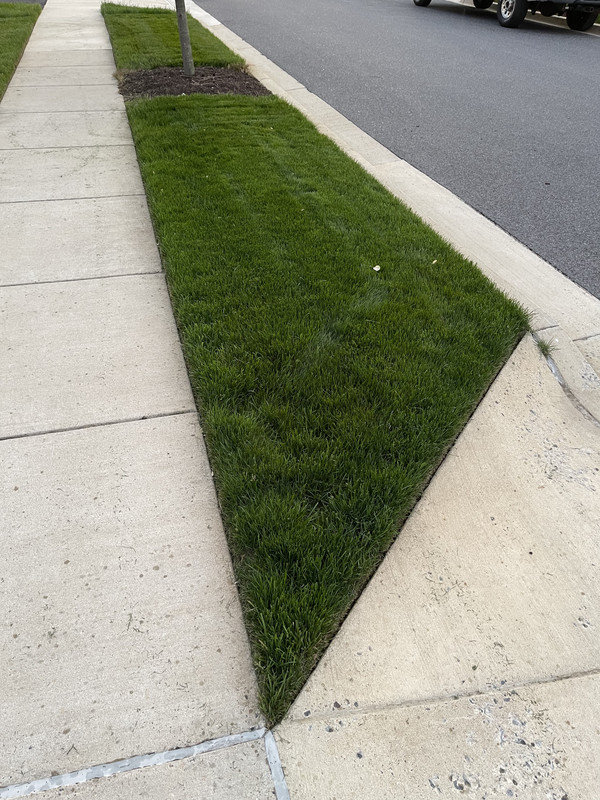 9729422D-F800-44B6-B6AC-34B74AE0254D