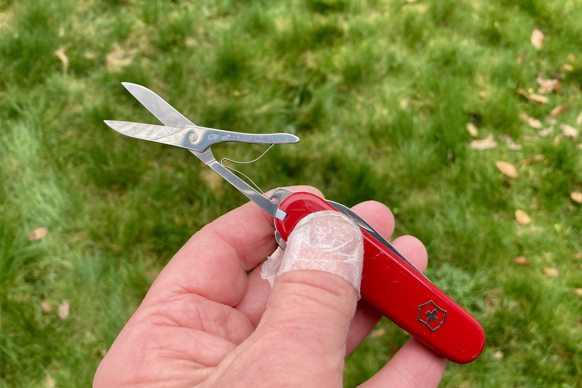 A174A130-A5F8-4779-9A82-7CFD47109060