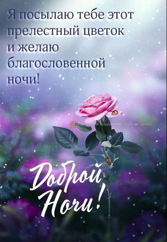 Screenshot-20221210-000022-com-viber-voi