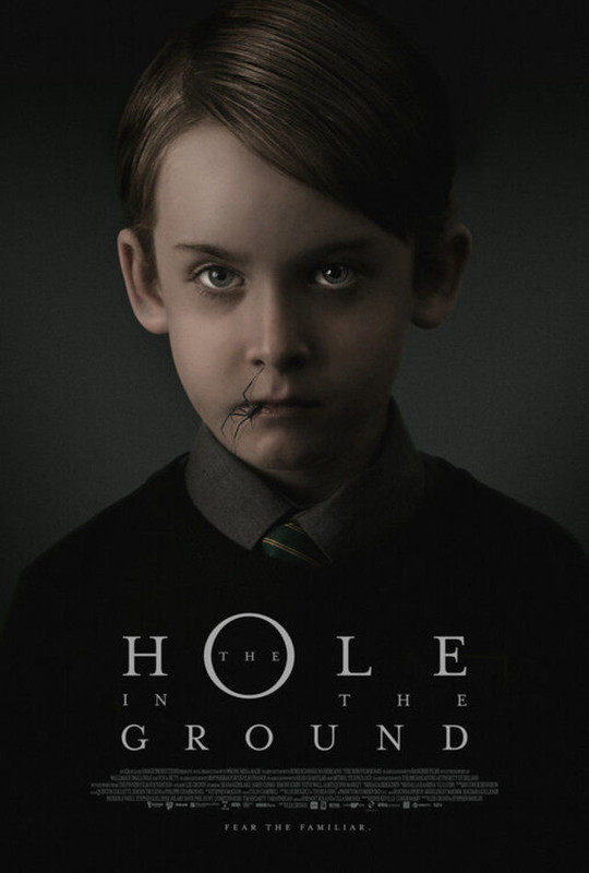  The Hole In The Ground (2019)