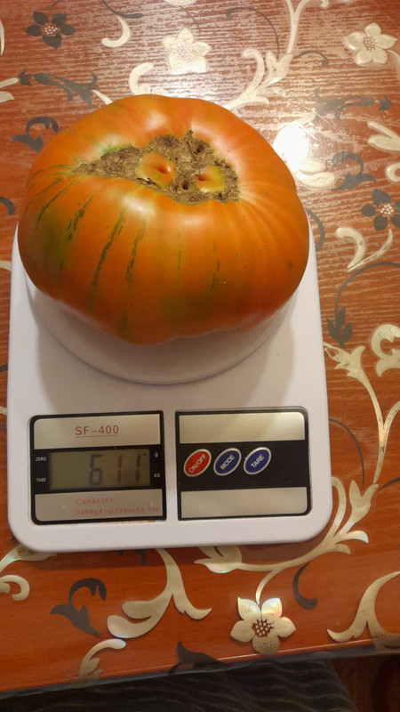 124ABCC2-6861-4585-87FA-517DA6440187