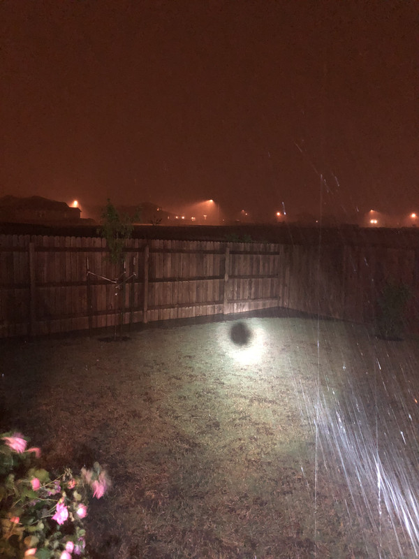 12902471-029E-4F19-9BF1-F822E7659809