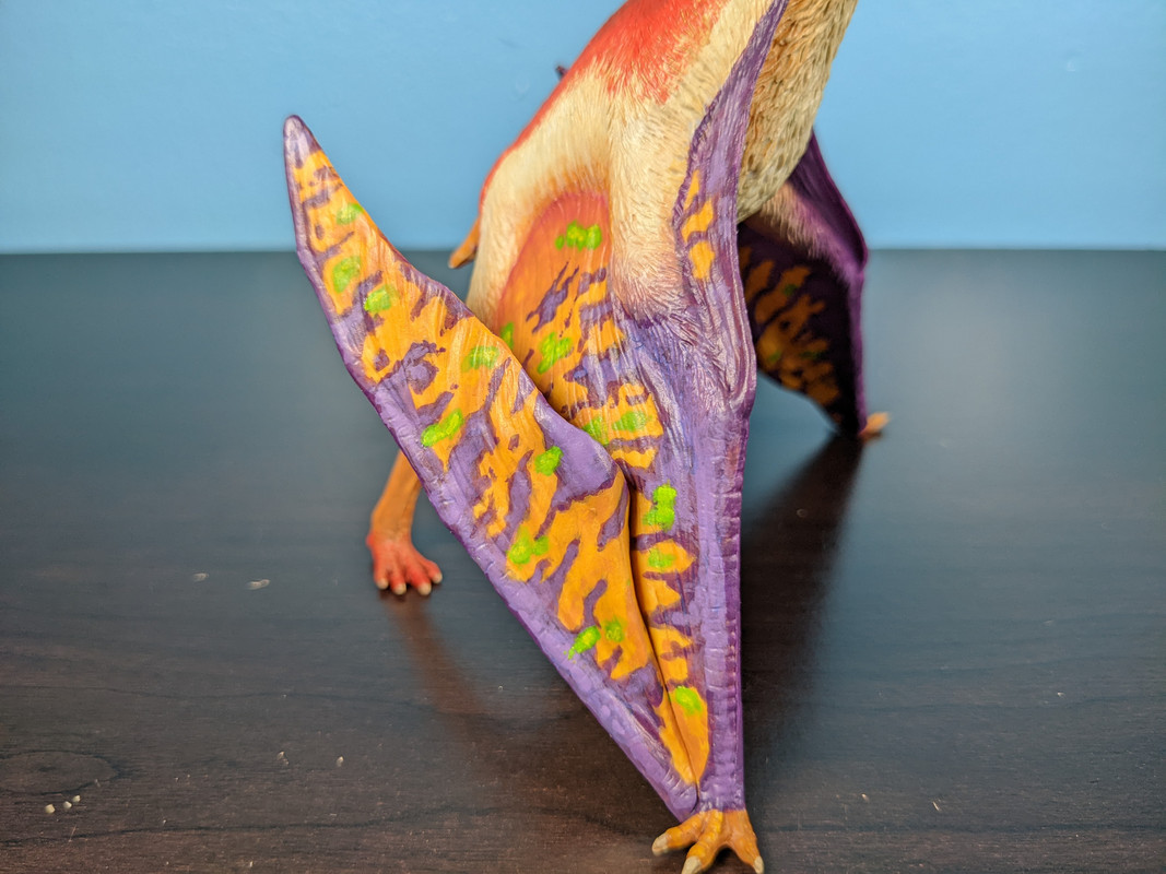 Custom Dinotopia Quetzalcoatlus "Skybax" by paintingdinos PXL-20220306-011744241-MP