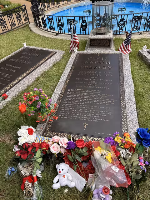 VII- Graceland - Blues Highway, un recorrido por la Historia de la Musica (6)