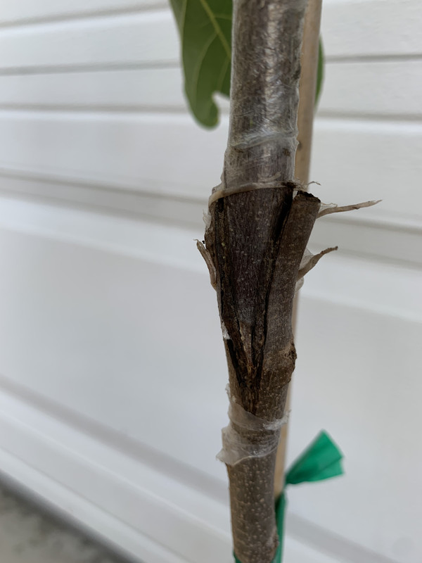 0BE8BC67-0251-49C1-8038-925F93B01516