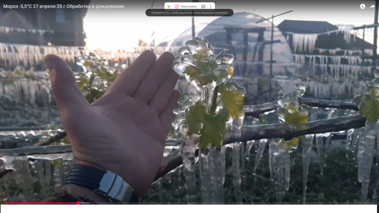 Безымянный12