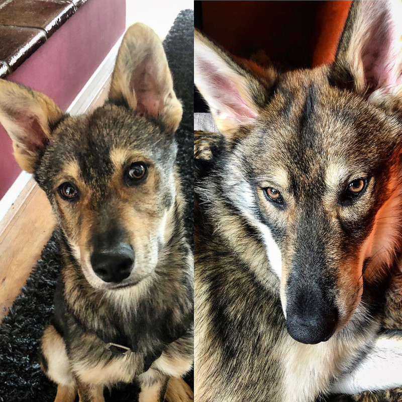 E6FCC52A-8CD8-402C-B8AC-50EEF881835D