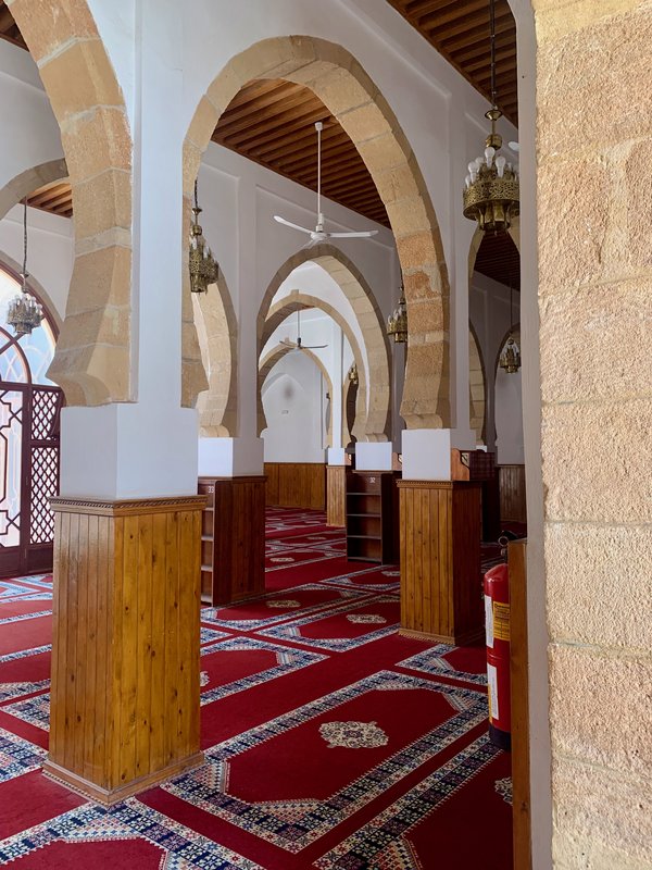 Tiznit y parque nacional de Souss-Massa - Sur de Marruecos: oasis, touaregs y herencia española (7)