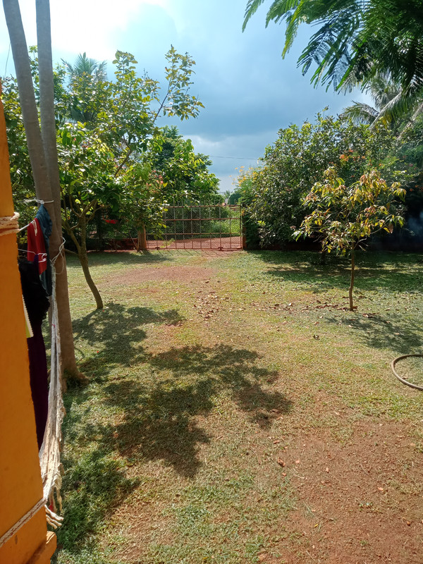 IMG20260612145033