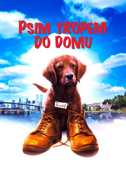 Psim tropem do domu / Fluke (1995) PL.1080p.WEBRip.x264.AC3-CX / Lektor PL