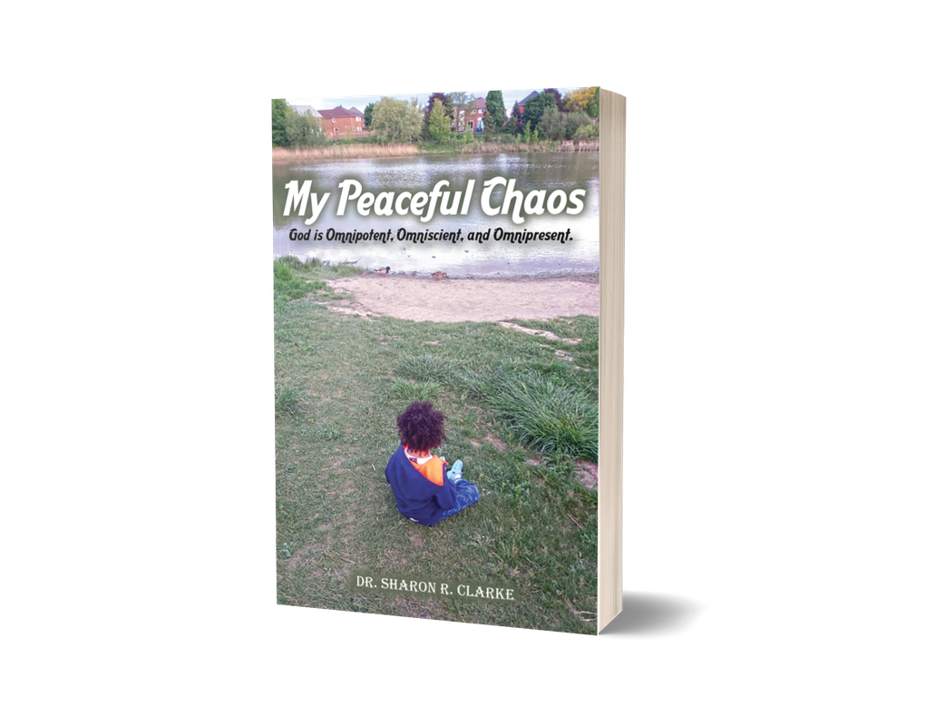 My Peaceful Chaos (PAPERBACK)