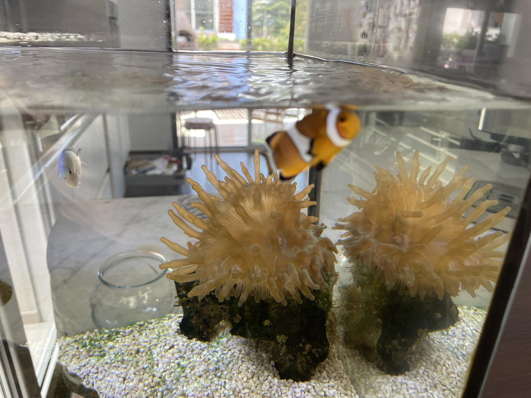 98013D45-4312-429D-8A51-339A45428B72