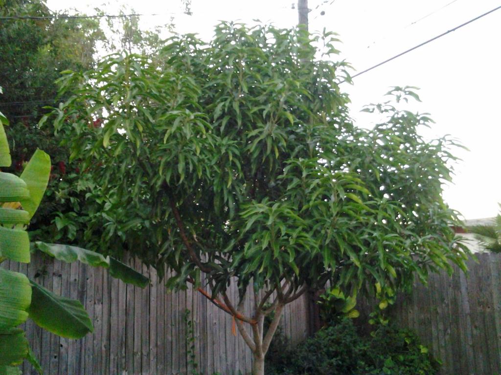 Glenn_zpsbf261280