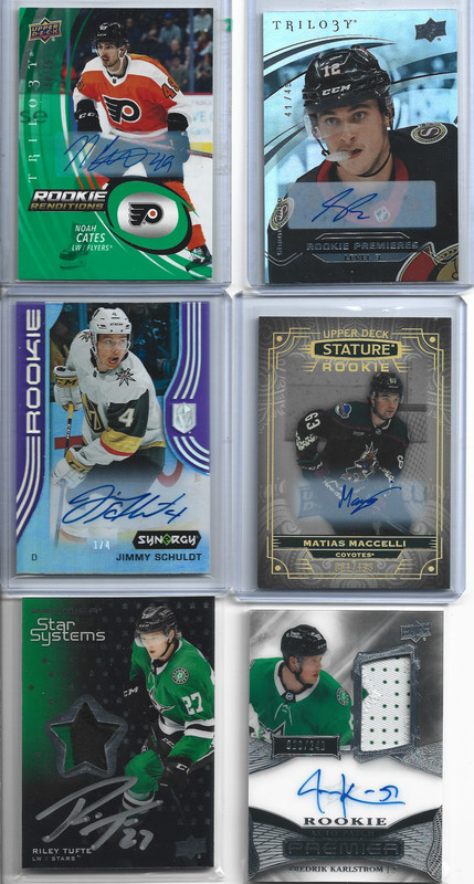 plokijuhygtfrdesxcfgvhbjnk (1)