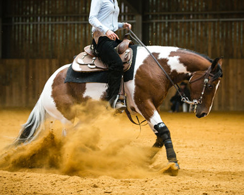 murderonthedancefloor