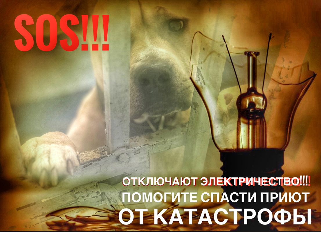 D23E7A38-76F7-4550-99A5-070611124CA5