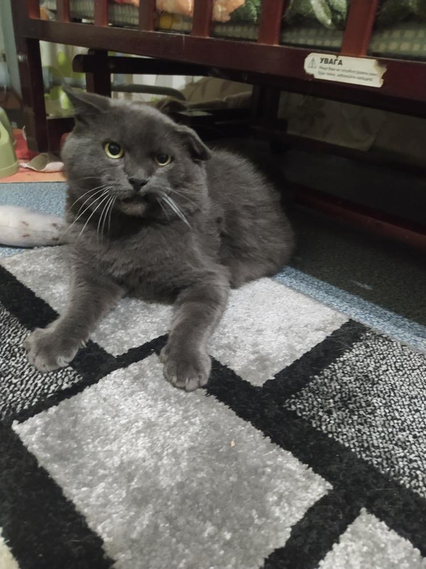 F10F6F40-FE46-4E63-AFD0-C88F2506F58D