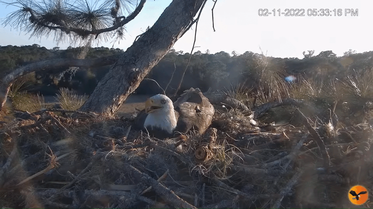 Webp.net-gifmaker (1)