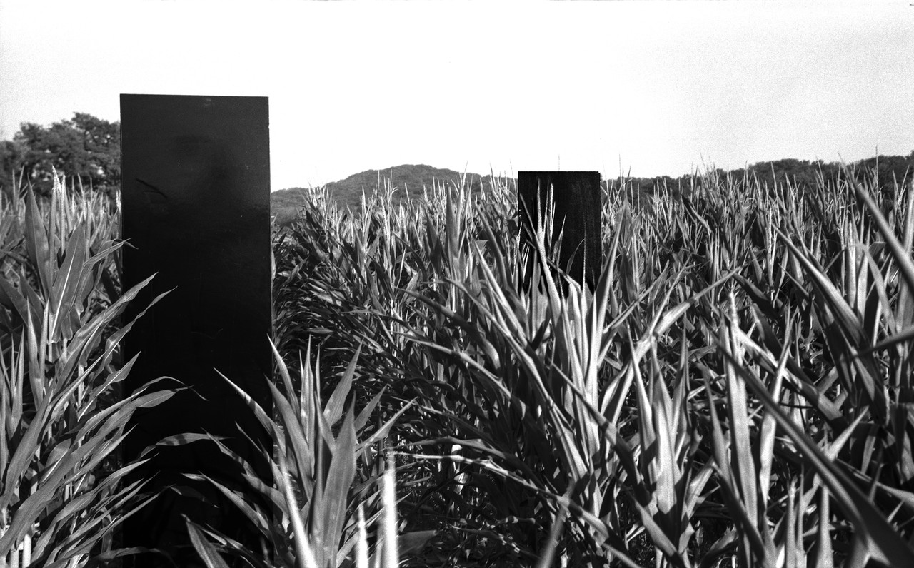 img20240801_01480016B2