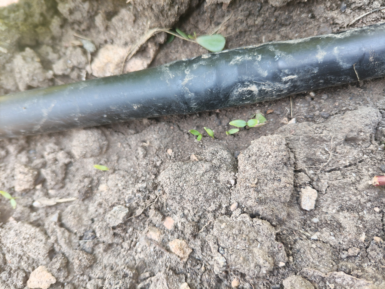 IMG 20260718 130135
