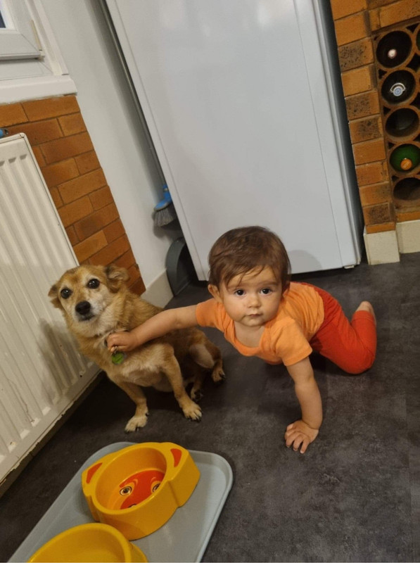 [Image: 3-E12-C46-D-C32-D-4-FD8-AAE3-7-ECA326-F1464.jpg]