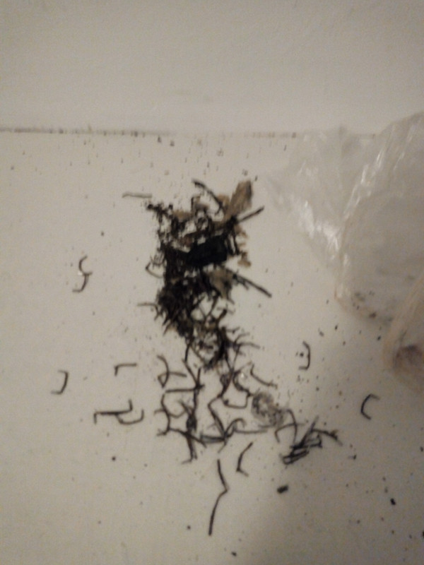 IMG_20190211_122240949