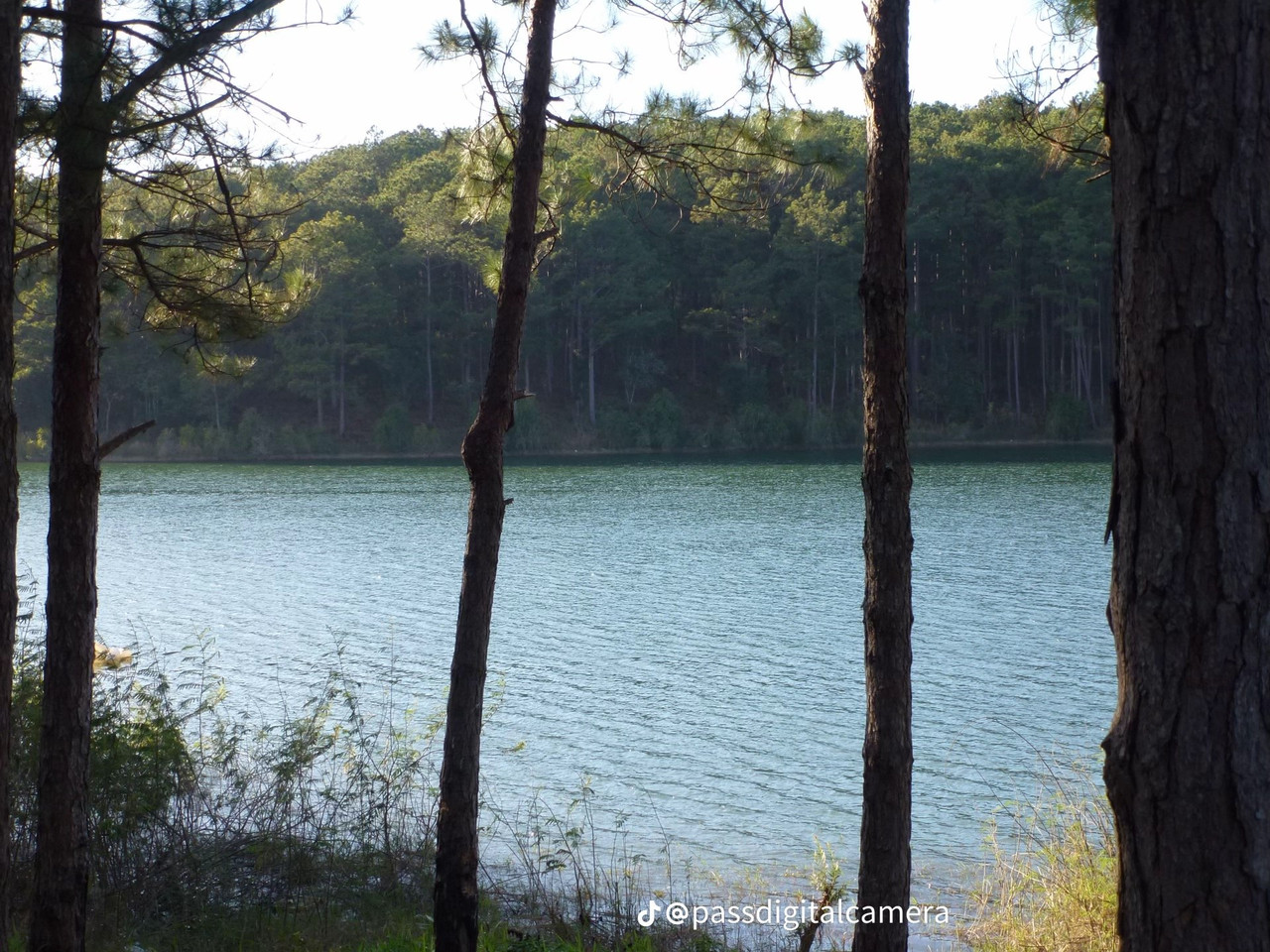 photo 14 2025 12 12 15 26 37