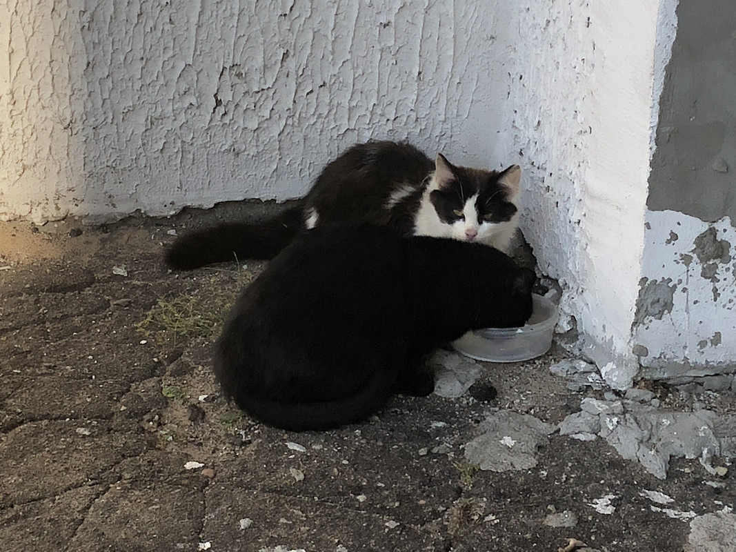 0F1B5C76-9B6C-4D9D-A364-36DCF3A0021B