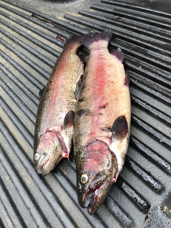 4AB01725-D915-4B67-997F-D27127DB0C95