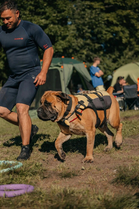 10-17-42-ZJBYD2EBnLFPWOtQyTlzU3F-2KRnlXZTs7tdO0jYo3jryn9CFDiEIK-48P6mFdp1rEME7p0WW5-N8Vgqzae-vA==