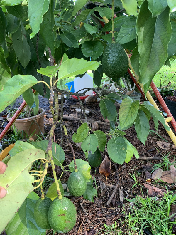 E10D4D13-2CC3-4C6D-8644-B57F4F5C9D31