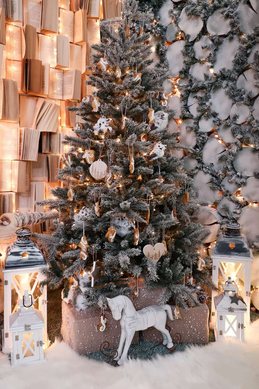 img_12_1639574034153