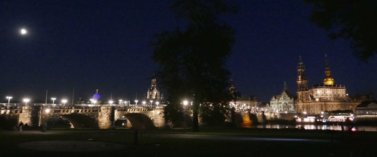 P1310234.jpg