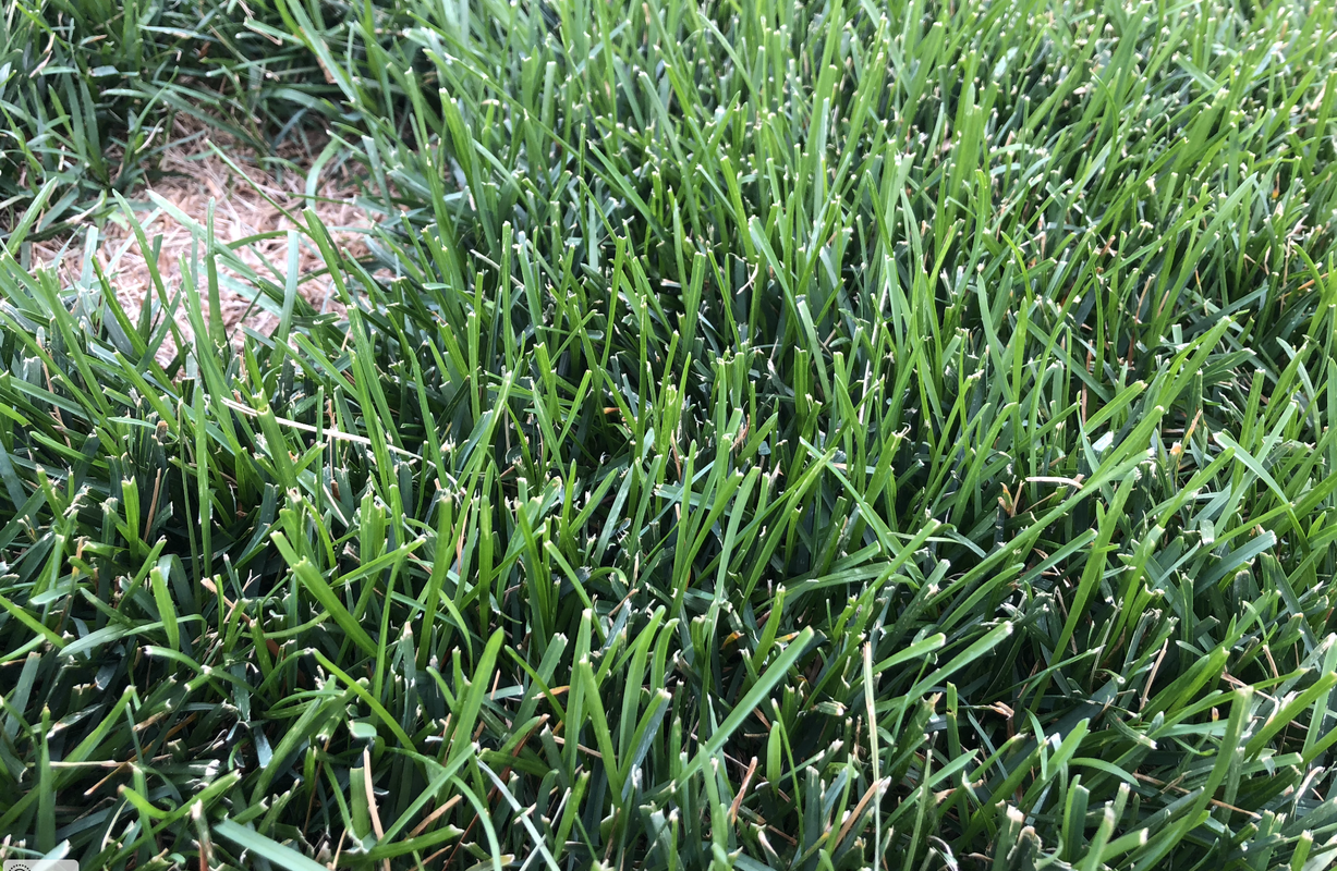 Screen Shot 2018-06-29 at 6.26.57 PM